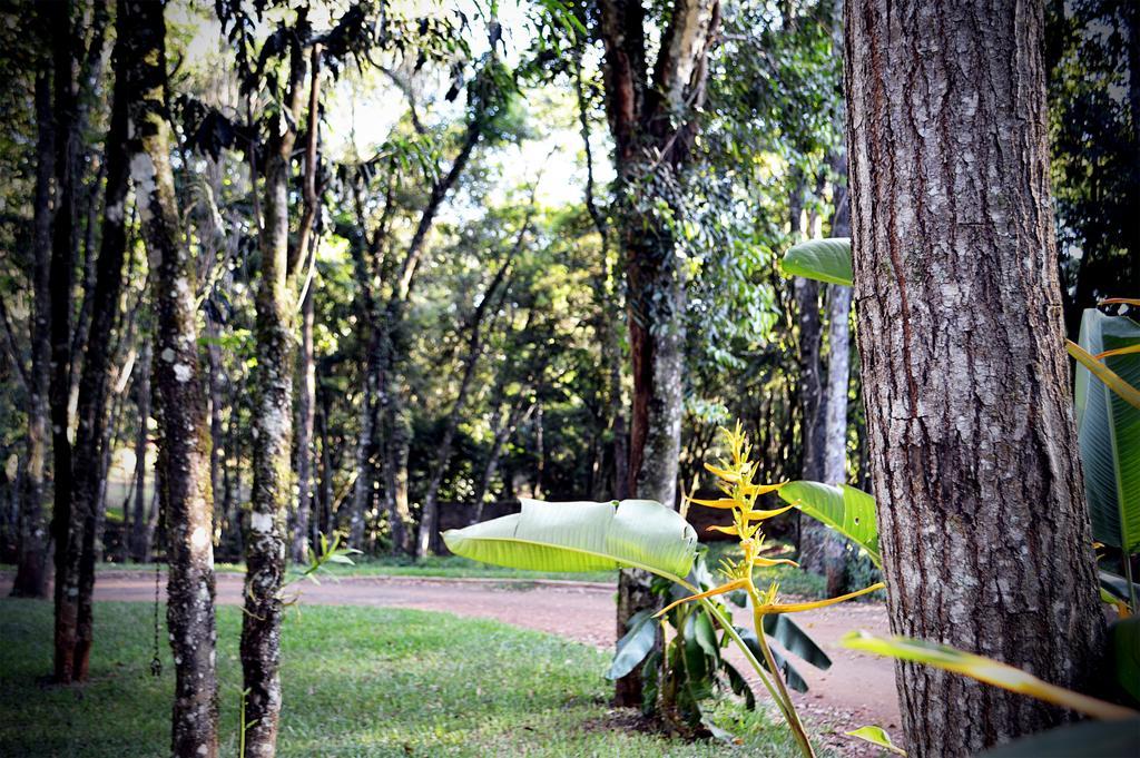 Cabanas Las Termas Villa Oberá Buitenkant foto
